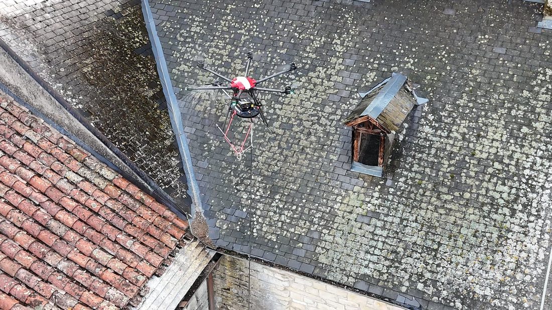 Toiture avant/après traitement anti-mousse par drone